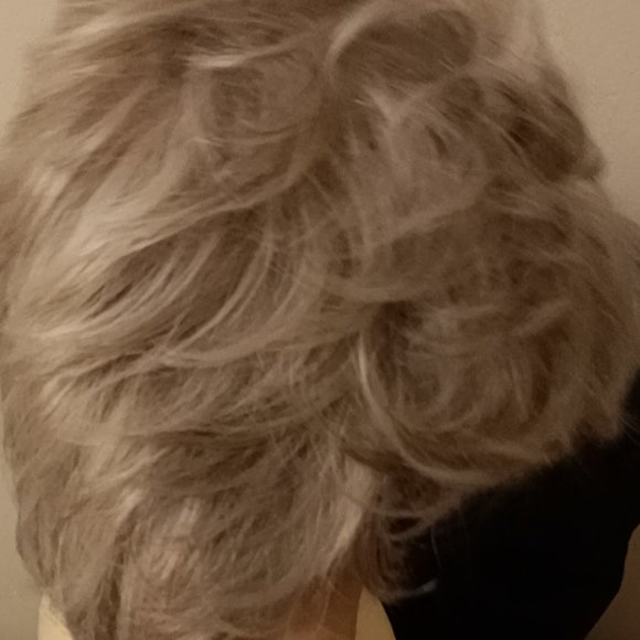 Paula Young Brand New Synthetic Silver Wig, Abby WhisperLite Petite - Picture 5 of 8
